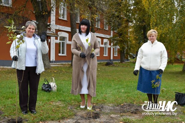 Женщины-педагоги Волковысского района посадили аллею славы обычных женщин