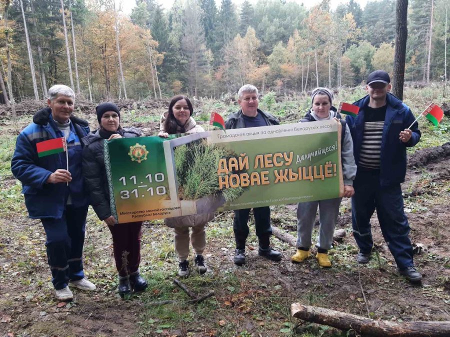 Дай лесу новае жыццё!