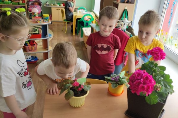 Путешествие в страну цветов.