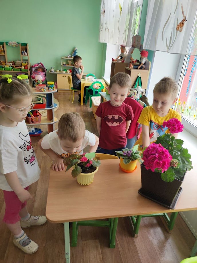 Путешествие в страну цветов.