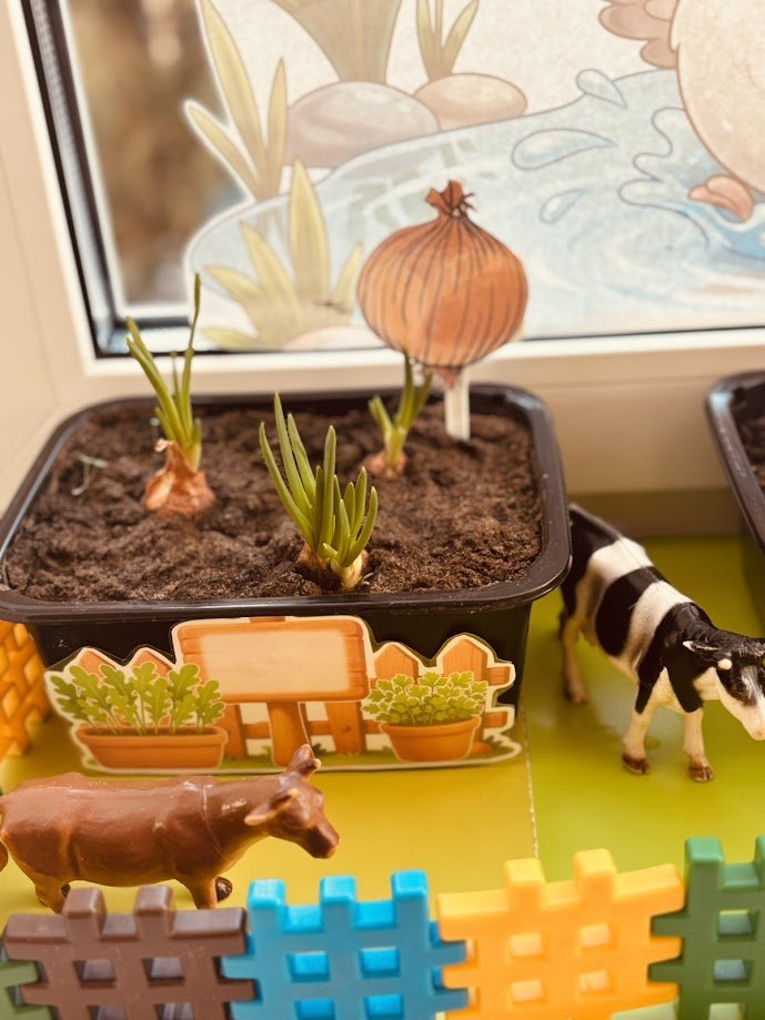 Что такое лук?