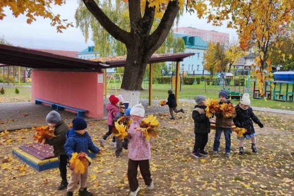 Осень дарит красоту!
