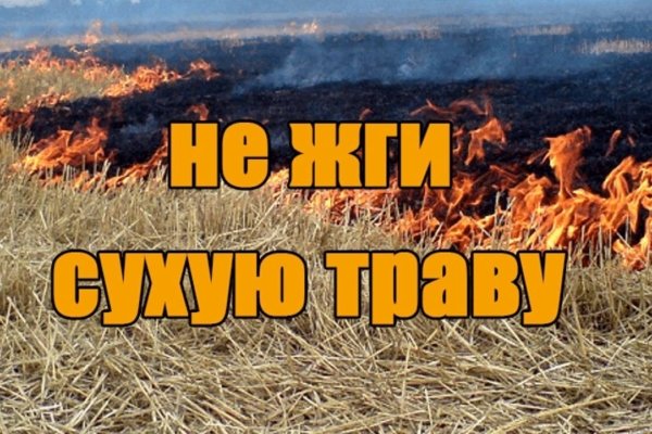 Выжигание сухой растительности