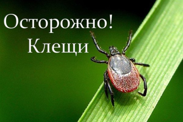 Профилактика клещевых инфекций.