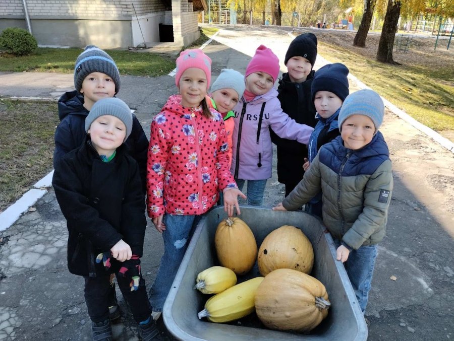 Сбор урожая на огороде